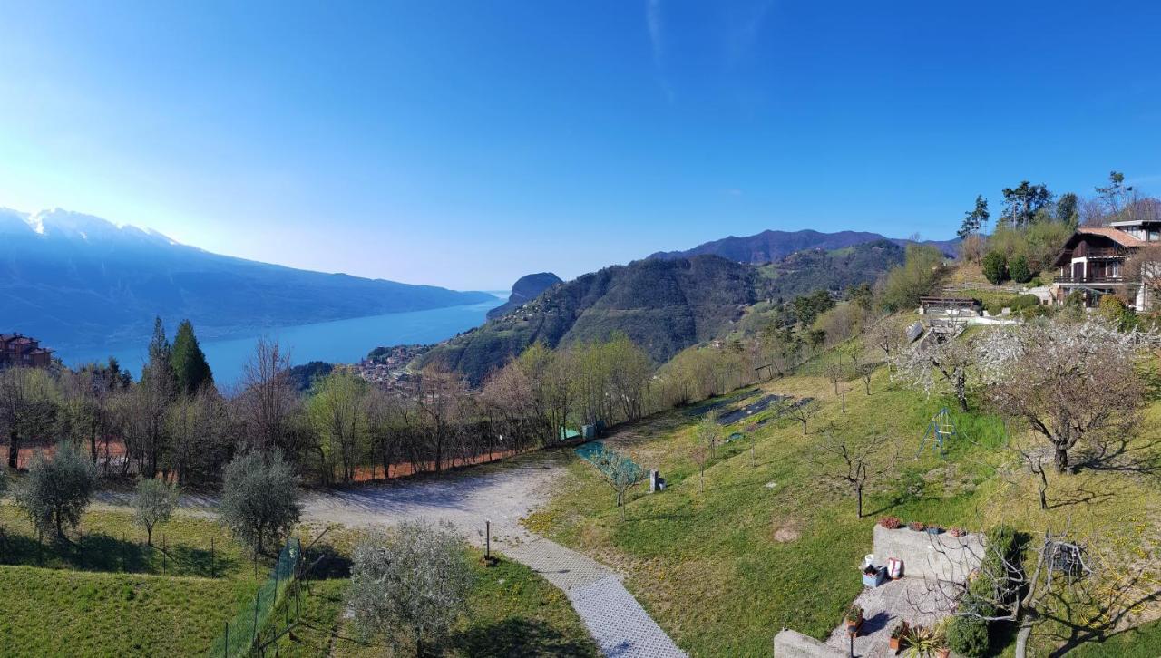 Teresa Campi Apartments Lake View By Gardadomusmea Tremosine ภายนอก รูปภาพ
